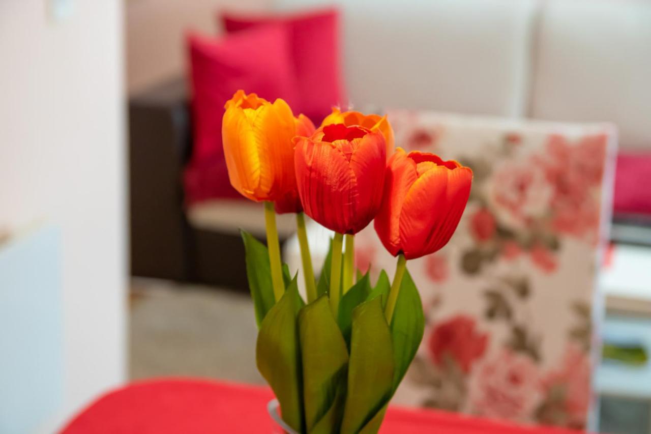 Butterfly Apartment โมสตาร์ ภายนอก รูปภาพ